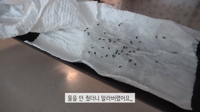 ENG)집밥 요리 브이로그|?오늘도 그녀는 김밥을 만다?새우 튀김 김밥(feat, 계란말이)?서진이네 떡볶이&김말이?부추 파스타?비스킷 만들기 쉽쥬잉?