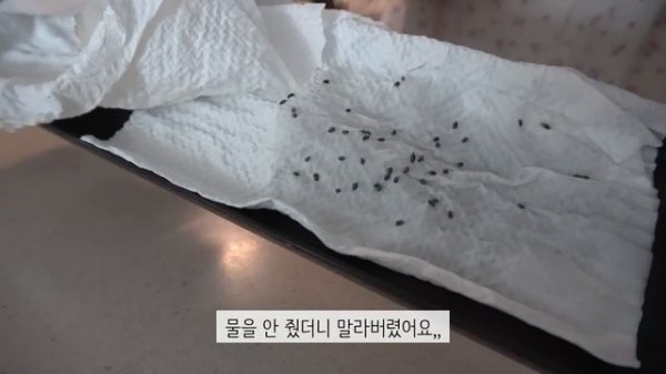ENG)집밥 요리 브이로그|?오늘도 그녀는 김밥을 만다?새우 튀김 김밥(feat, 계란말이)?서진이네 떡볶이&김말이?부추 파스타?비스킷 만들기 쉽쥬잉?