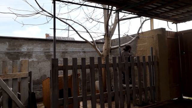 Шуба - цементная штукатурка поверхности забора :) смотреть онлайн