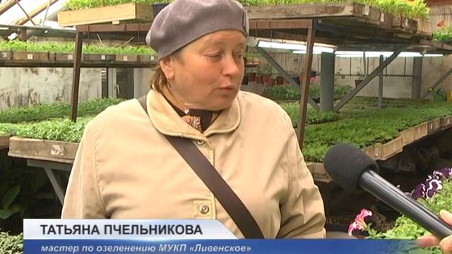 БУЙСТВО КРАСОК смотреть онлайн