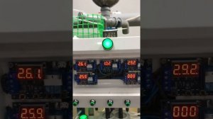 Автоматические кормушки для УЗВ своими руками