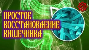 Быстрое восстановление микрофлоры кишечника. Лечение кишечника после дисбактериоза.mp4
