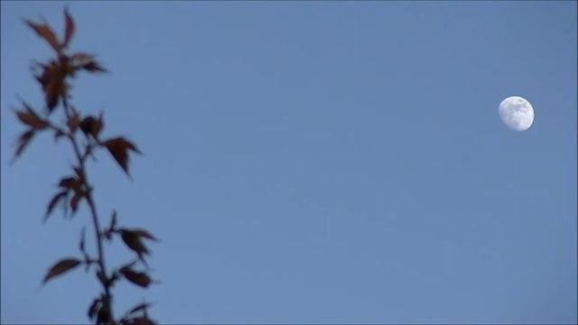 Moonlapse | Baildon Moor | JVC PX100 смотреть онлайн