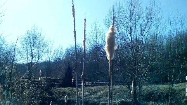 Христианские стихи с очень глубоким смыслом. смотреть онлайн