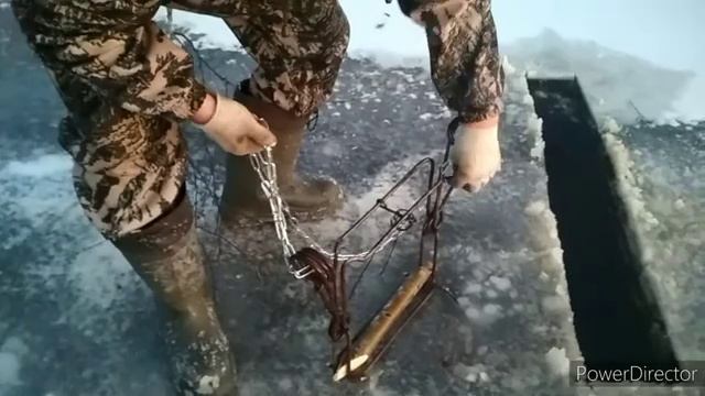 Охота на бобра капканом зимой. смотреть онлайн