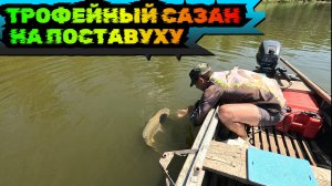 Трофейный САЗАН на поставуху 2024 река Бузан. Рыбалка в Астрахани.