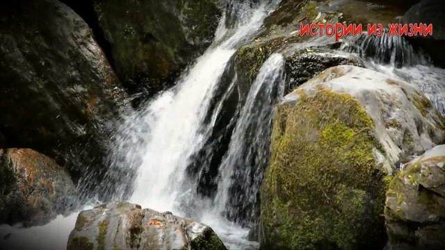 ПОДРУГА ПРИГЛАСИ НА ДЕНЬ РОЖДЕНИЯ БЕЗ МУЖА | Истории из жизни смотреть онлайн