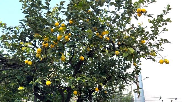 ЖИЗНЬ В ИТАЛИИ ?? Забрела в подземный город в Бари смотреть онлайн