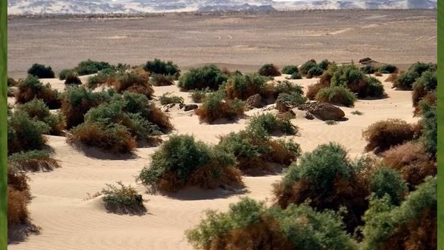 Жизнь в безлесных пространствах смотреть онлайн