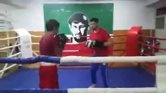 Бокс тренировка Ахмедов Ибрагим