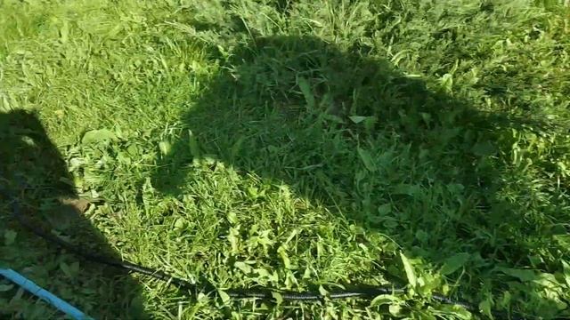 Беседка в ретро стиле. Рассуждения на тему выбора схемы электрификации. смотреть онлайн