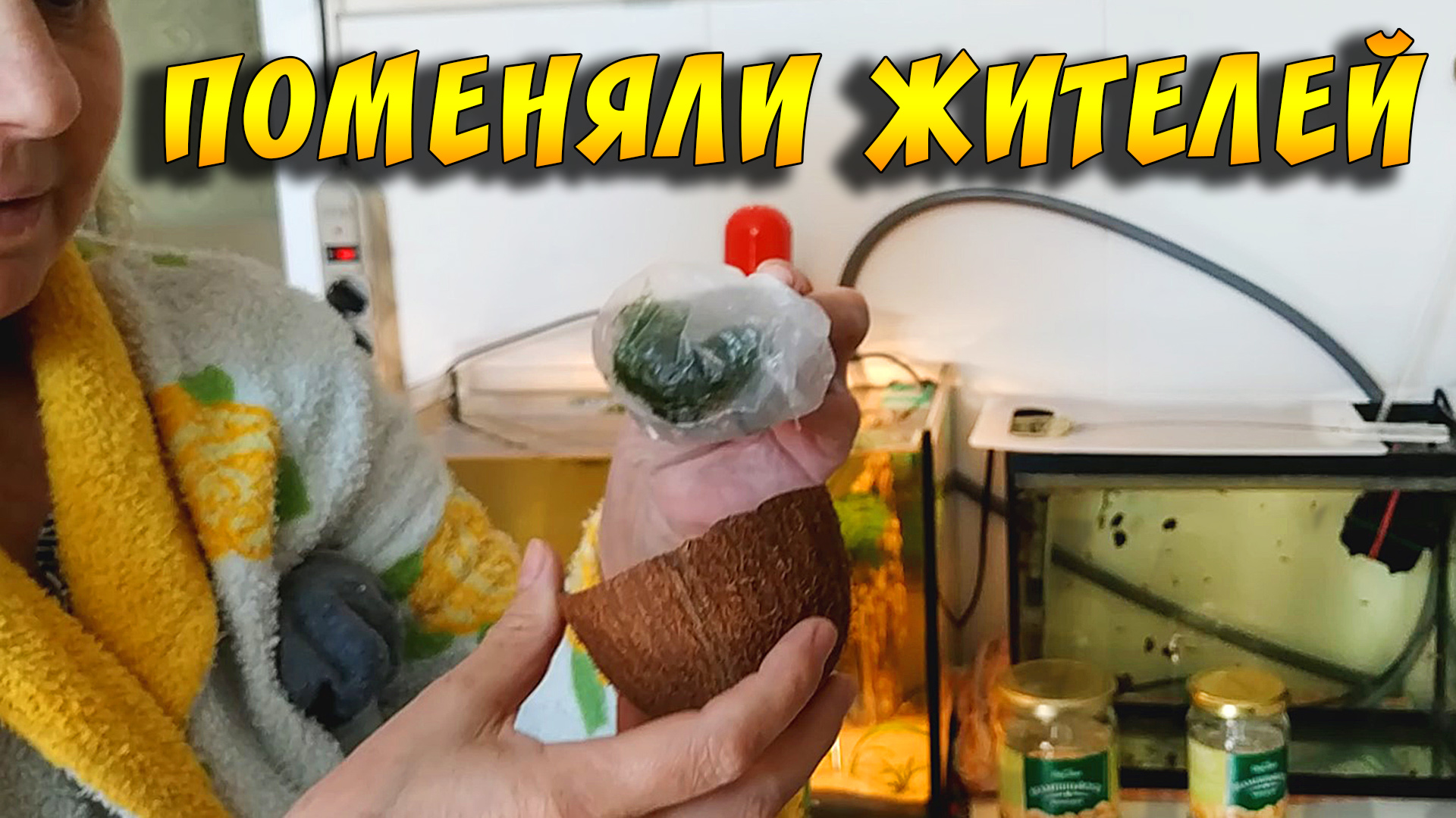 Привез новых РЫБОК, КРЕВЕТОК, РАСТЕНИЙ и забрал меченосцев! смотреть онлайн