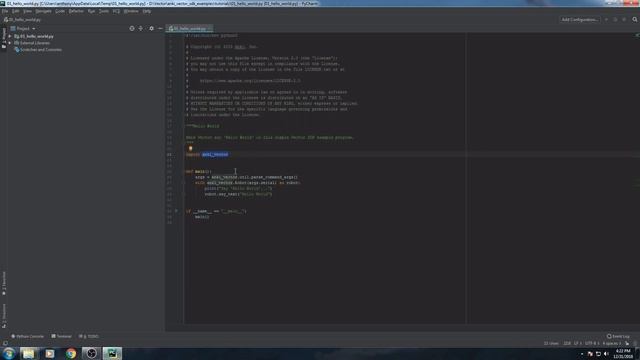 Vector SDK tutorial - 01- PyCharm and API смотреть онлайн