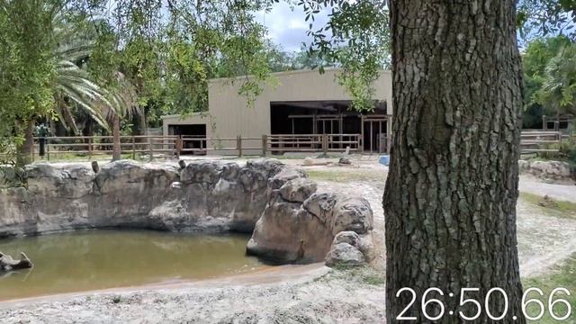 OnePlus Nord N10 Camera Review Vlog at the Zoo смотреть онлайн