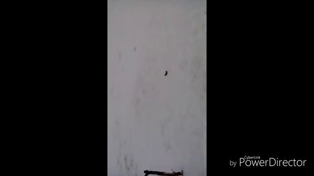 Ловля окуня на безмотылку. смотреть онлайн