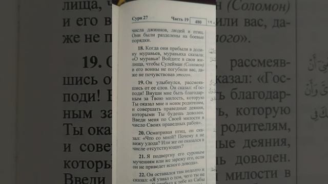 Имам Махди получает ЗНАМЕНИЯ ОТ АЛЛАХА. Коронавирус в Коране. АЛЬХАМДУЛИЛЛЯХ смотреть онлайн