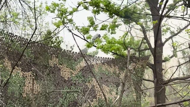 Очередного американский танк Abrams уничтожен на авдеевском направлении смотреть онлайн