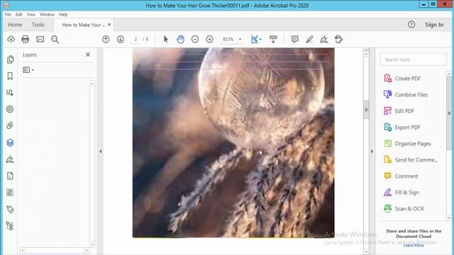 How To View Layers In A PDF With Adobe Acrobat Pro 2020