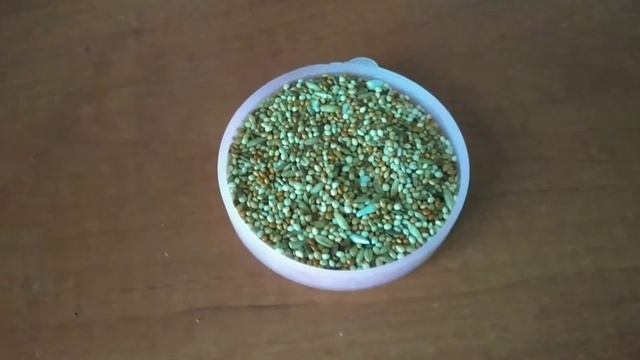 Корм Prestige для волнистых попугаев/обзоры лучших кормов для волнистых попугаев (выпуск 3). смотреть онлайн