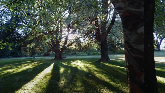 Nikon Coolpix L830 in 2023 смотреть онлайн