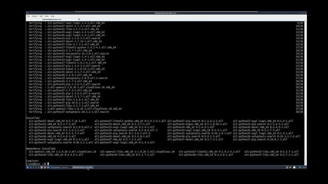 Python Web Applications in cPanel on CloudLinux смотреть онлайн