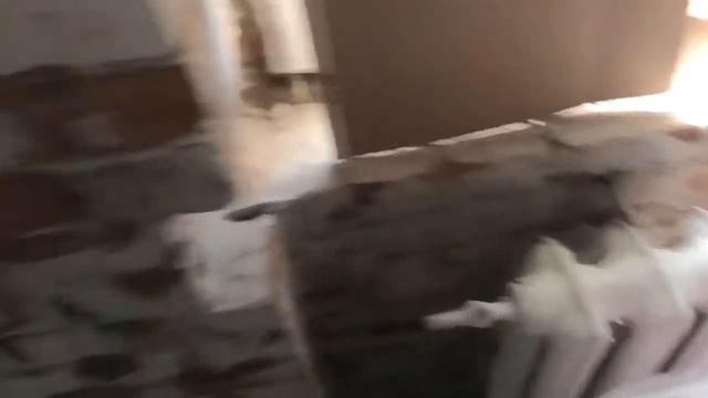 Штукатурка стен самое полное видео! Переделка хрущевки от А до Я смотреть онлайн