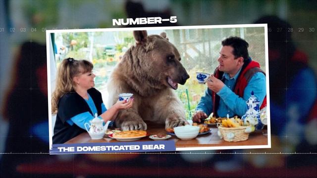 10 Most DANGEROUS Animals Kept As Pets смотреть онлайн