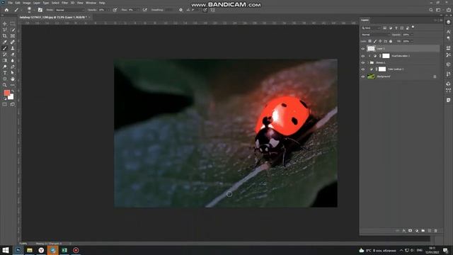 PHOTOSHOP DARSLARI N1 DARS OSON VA ODDIY BOSHLANISHIGA смотреть онлайн