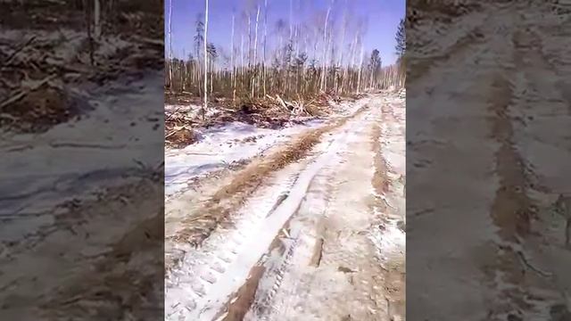 Разработка лесосеки(делянки) смотреть онлайн