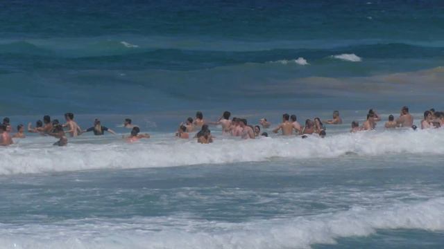 Пляжи Manly, Curl Curl, Freshwater, Australia Part 2/ #австралия    #пляж #жизньзаграницей