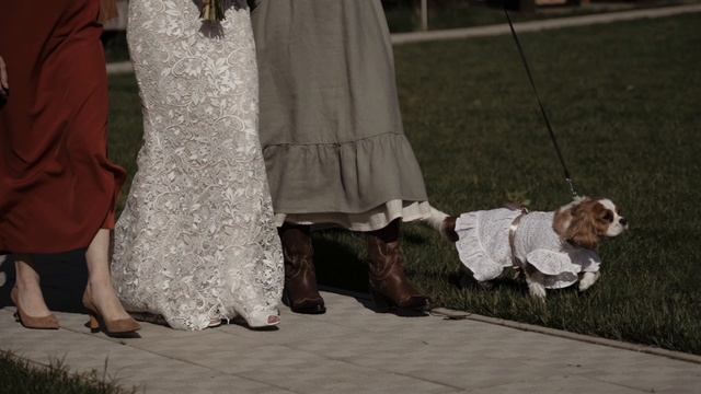 Свадьба в стиле БОХО ✨ смотреть онлайн