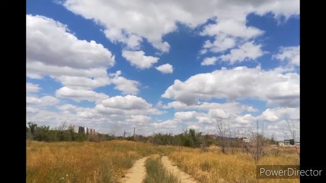 Настрой «Здоровый сон» Живолад