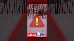 тревога