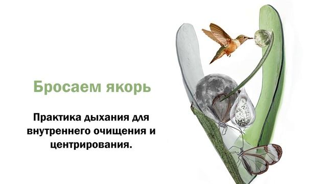 Бросаем якорь смотреть онлайн