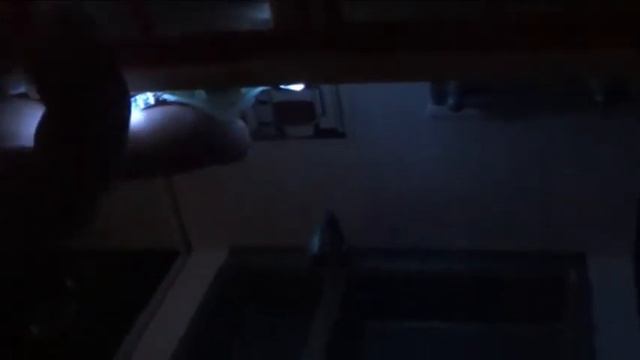 Видео обзор ПОСУДКИ для Барби. смотреть онлайн