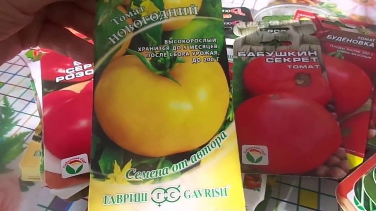 ПосевТоматов Разных Сортов на Рассаду Пророщенными Семенами в Чашах Петри. Сроки Сева на Урале. смотреть онлайн