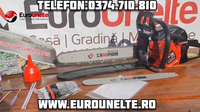 DRUJBA CAMPION MOGILEV 6CP