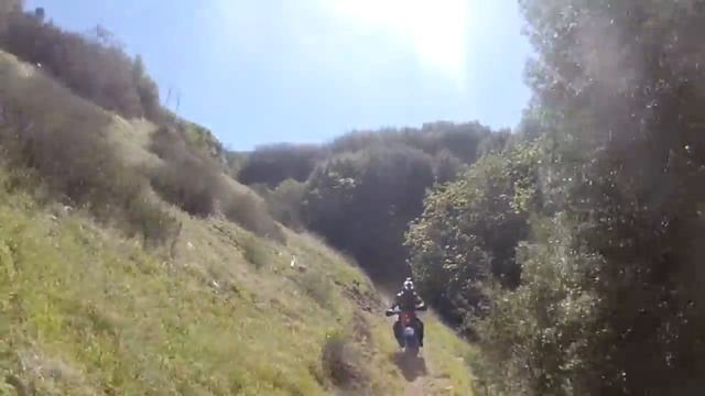 Gopro mounted backwards through the trees смотреть онлайн