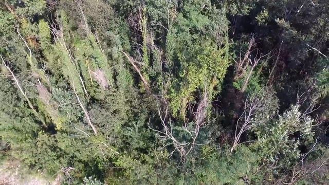 summer fun at river cassano d'adda milano, Italy смотреть онлайн