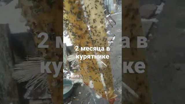 24 ноября 2023 г. смотреть онлайн