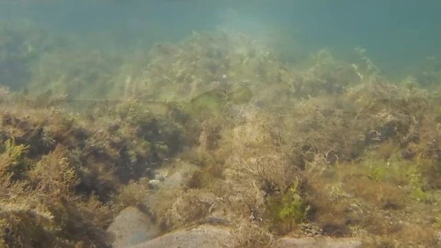 Россия , Чёрное море " Песня о любви ".... смотреть онлайн
