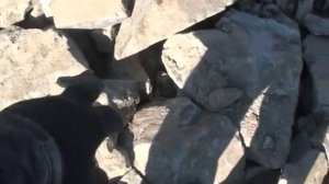 Как сделать дорогу к участку своими руками