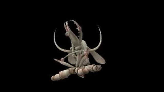 Strange spore creature смотреть онлайн