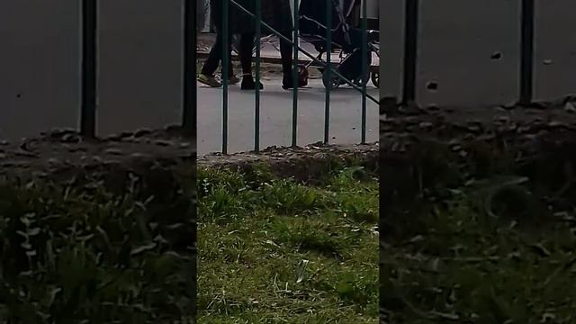 Мирзо улугбек Ал фаробий махалла очилиши(3) смотреть онлайн