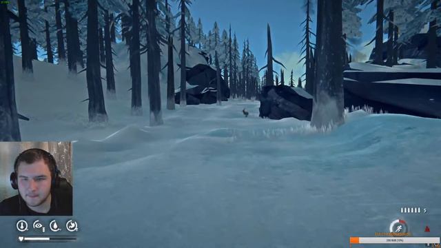 Стрим The Long Dark (OBS). ДОКТОР АСТРИД ИДЁТ К УПАВШЕМУ САМОЛЁТУ ! смотреть онлайн