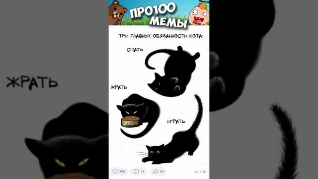 Мемы 2022 ( Про100 мемы ) выпуск 348 - Три главных обязанности кота смотреть онлайн