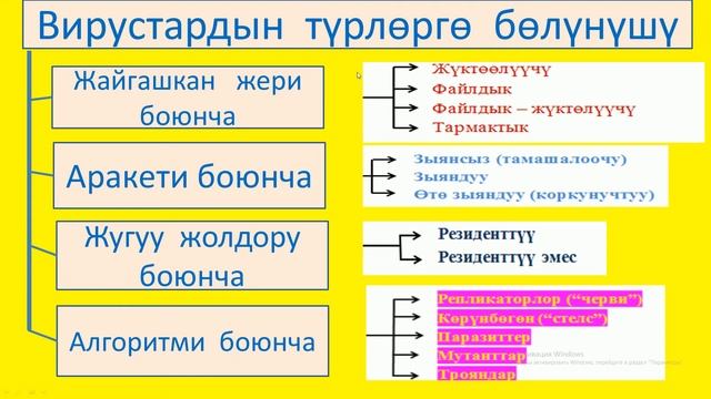 Вирустар жана антивирустар смотреть онлайн