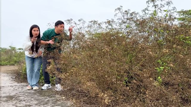 Changcady và các con vật kì lạ, chiến thắng virus khổng lồ giải cứu cho hươu cao cổ, sư tử смотреть онлайн