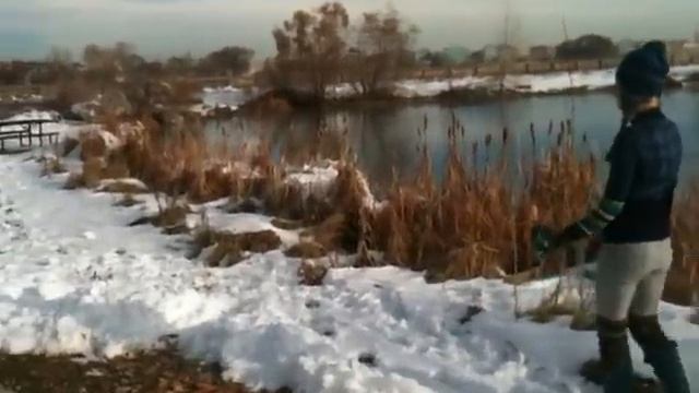 Nordic Shoot 4 смотреть онлайн