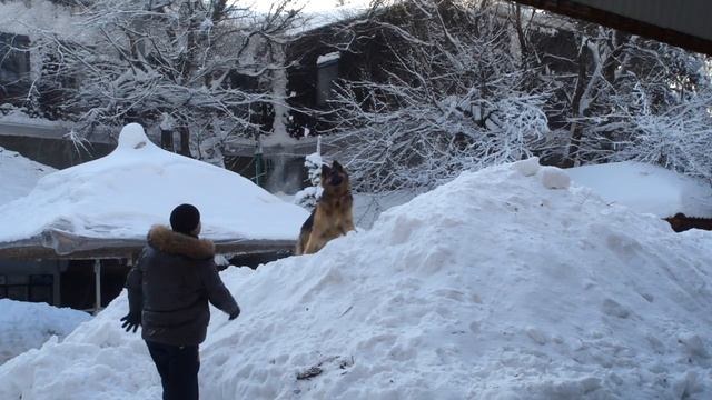 детство Цезаря 6 смотреть онлайн